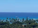 Primary Photo for MLS#: 202607226