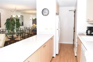 Photo #6: 202608177 Listing 