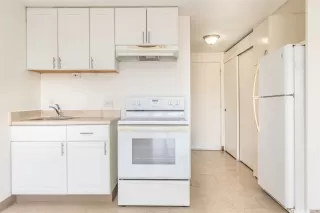 Photo #5: 202609033 Listing 