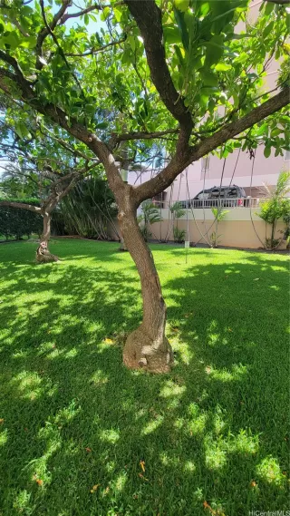 Photo #4: 202609427 Listing 