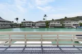 Primary Photo for MLS#: 202609918