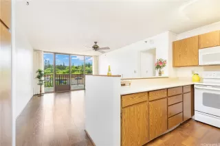 Primary Photo for MLS#: 202609937
