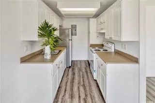 Photo #4: 202610026 Listing 