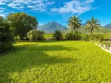 Primary Photo for MLS#: 202610602
