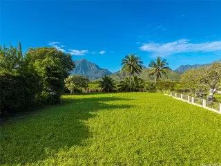 Photo #5: 202610602 Listing 