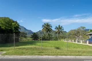 Photo #6: 202610602 Listing 