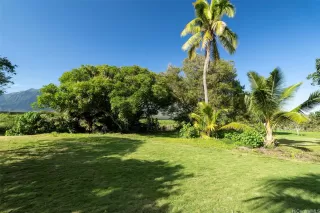 Photo #3: 202610608 Listing 