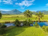 Primary Photo for MLS#: 202610621