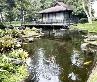 Photo #5: 202611328 Listing 