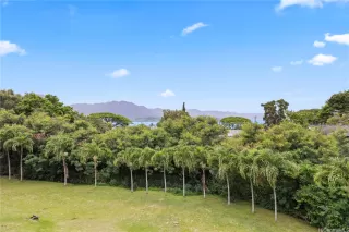 Photo #5: 202611385 Listing 
