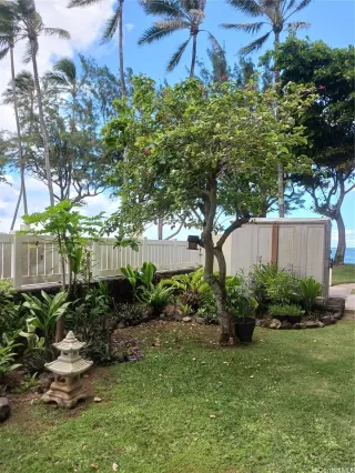Photo #2: 202611713 Listing 