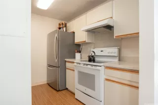 Photo #6: 202611847 Listing 