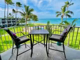 Primary Photo for MLS#: 202612110