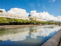 More Details about MLS # 202208293 : 1621 ALA WAI BOULEVARD #303