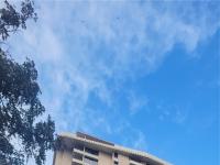 More Details about MLS # 202506002 : 2215 ALOHA DRIVE 1104