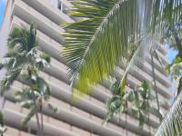 More Details about MLS # 202512271 : 1720 ALA MOANA BOULEVARD PH-5B